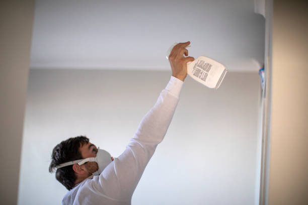 Best Mold Inspection  in Eldon, MO