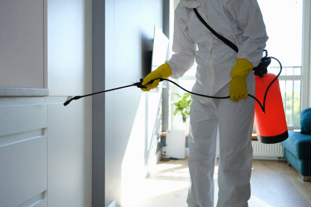 Best Residential Mold Removal  in Eldon, MO