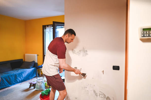 Best Crawl Space Mold Removal  in Eldon, MO